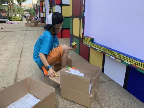 世界最大鼠生肖魔方马赛克墙在海口惊艳亮相 挪威艺术家耗时三天三夜创作